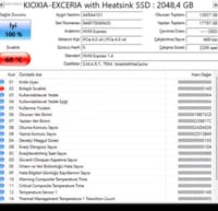 Kioxia Exceria Heatsink 2TB M.2 SSD DRAMLİ PS5 Uyumlu - görsel 4