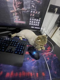 Logitech Gaming Set Klavye mouse kulaklık - görsel 3