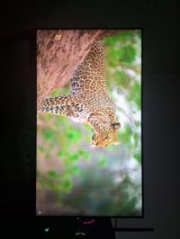Samsung G3 32" 180Hz Monitör - görsel 3